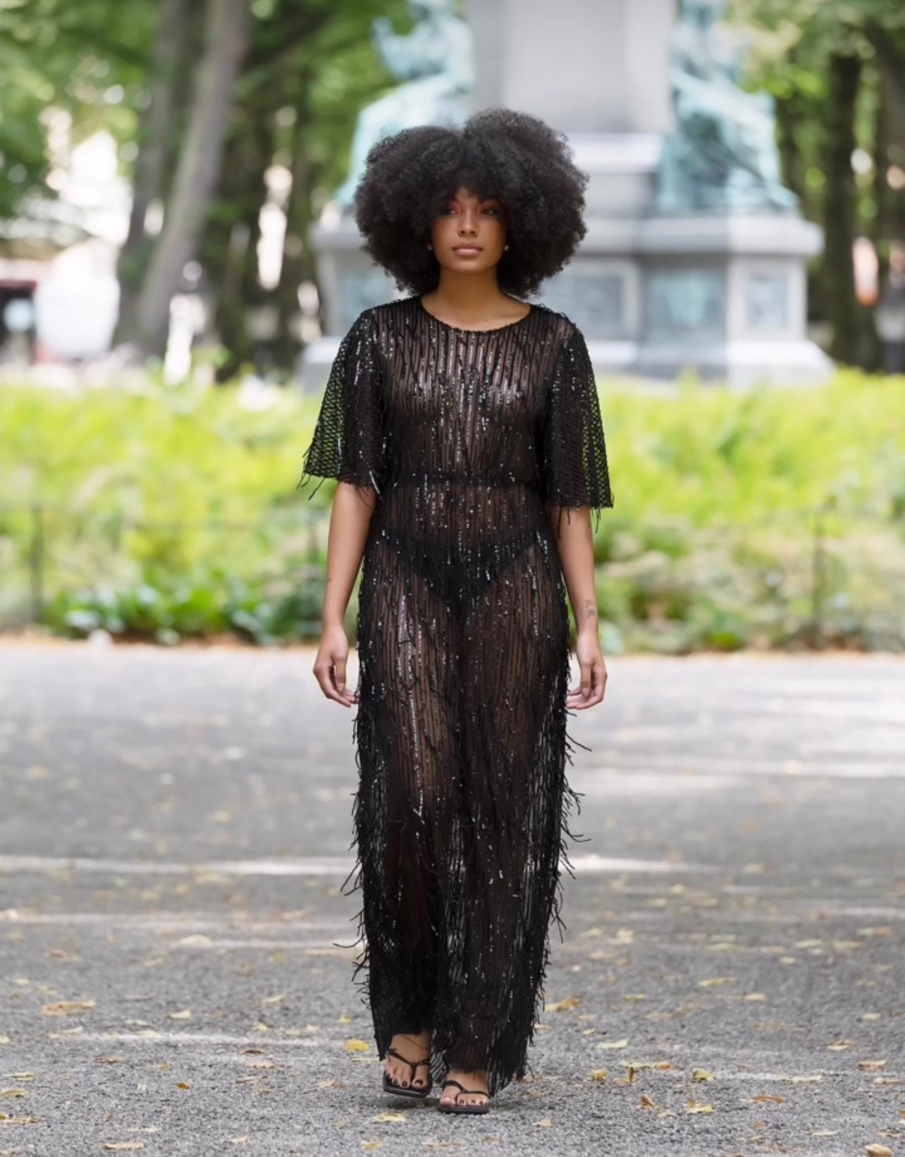 Sequined, long, sheer black, short sleeved dress.
